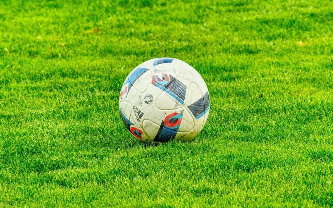 piłka nożna na zielonej trawie
